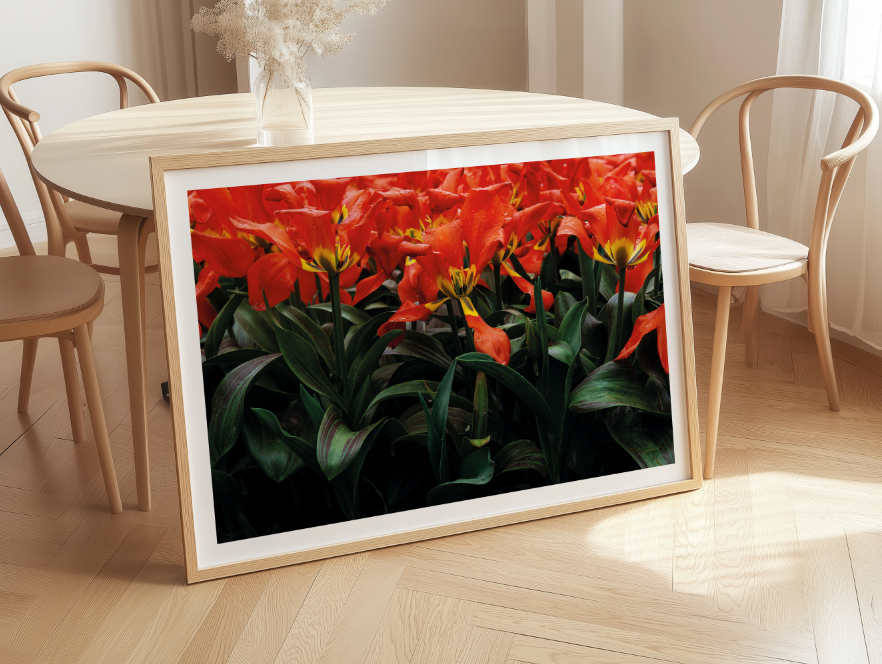 Kunstdruck Vergänglichkeit