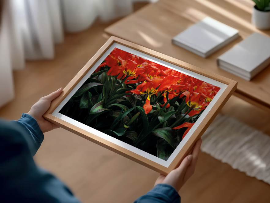 Kunstdruck Vergänglichkeit