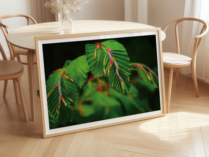 Botanischer Kunstdruck Greenery – Pflanzenposter A4