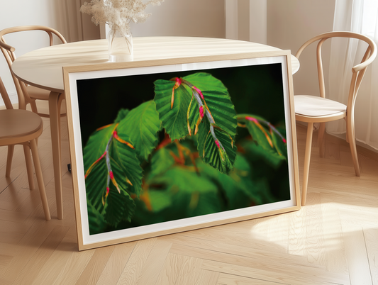 Botanischer Kunstdruck Greenery – Pflanzenposter A4