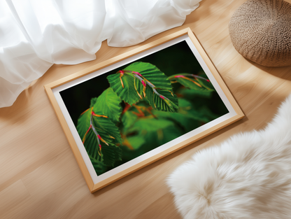 Botanischer Kunstdruck Greenery – Pflanzenposter A4