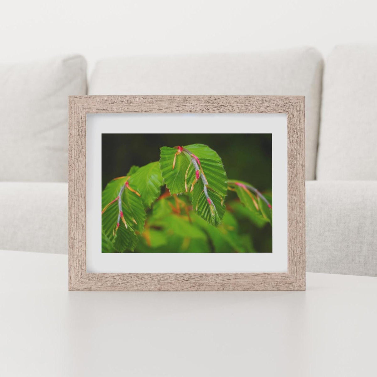 Kunstdruck Natur pur A4 ohne Rahmen, Kunst, Fotografie, Wanddeko für dein Zuhause