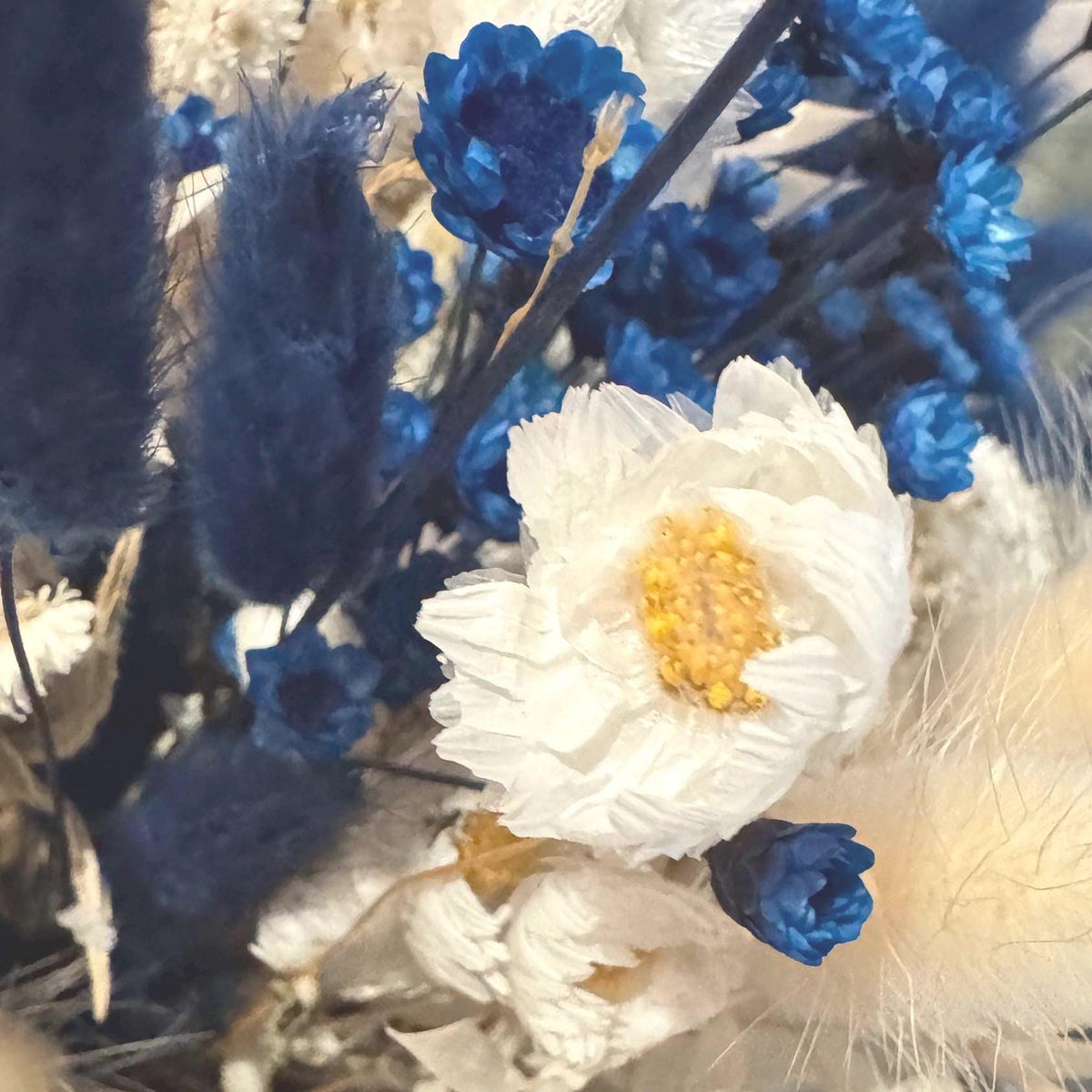 Boho Trockenblumenstrauß Blau Weiß | Getrocknete Blumen mit Lagurus & Glixia | Deko Wohnzimmer Hochzeit Geschenk | Pampas Style Bouquet