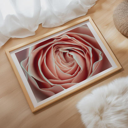 Art Print A4 – Rosenblüte – Hochwertiger Kunstdruck auf nachhaltigem Recycling Papier gedruckt