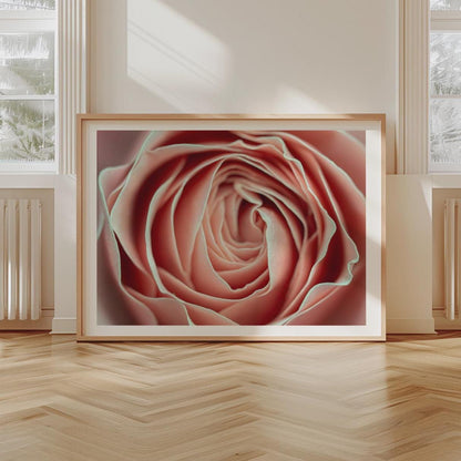 Könnte beinhalten: Nahaufnahme eines gerahmten Drucks mit einer Rose. Die Rosenblätter sind zartrosa mit einem dezenten grünen Rand, wodurch ein detailliertes Blumenbild entsteht. Das Kunstwerk wird in einem hellen Holzrahmen präsentiert.