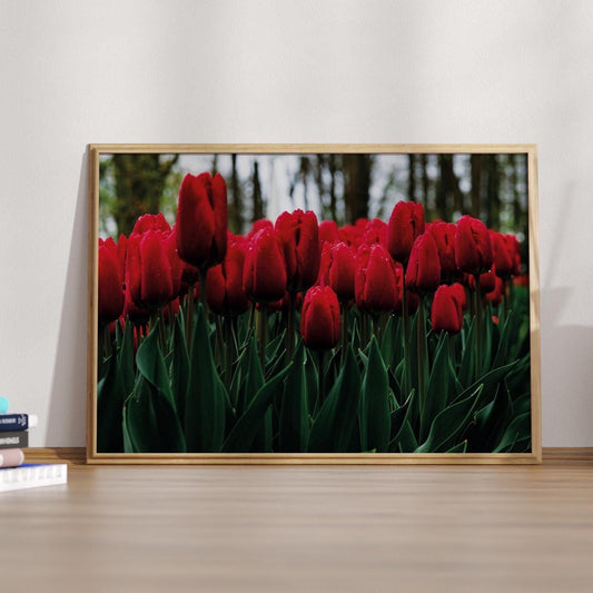 Art Print A4 – Tulpenmeer – Hochwertiger Kunstdruck auf nachhaltigem Recycling Papier gedruckt