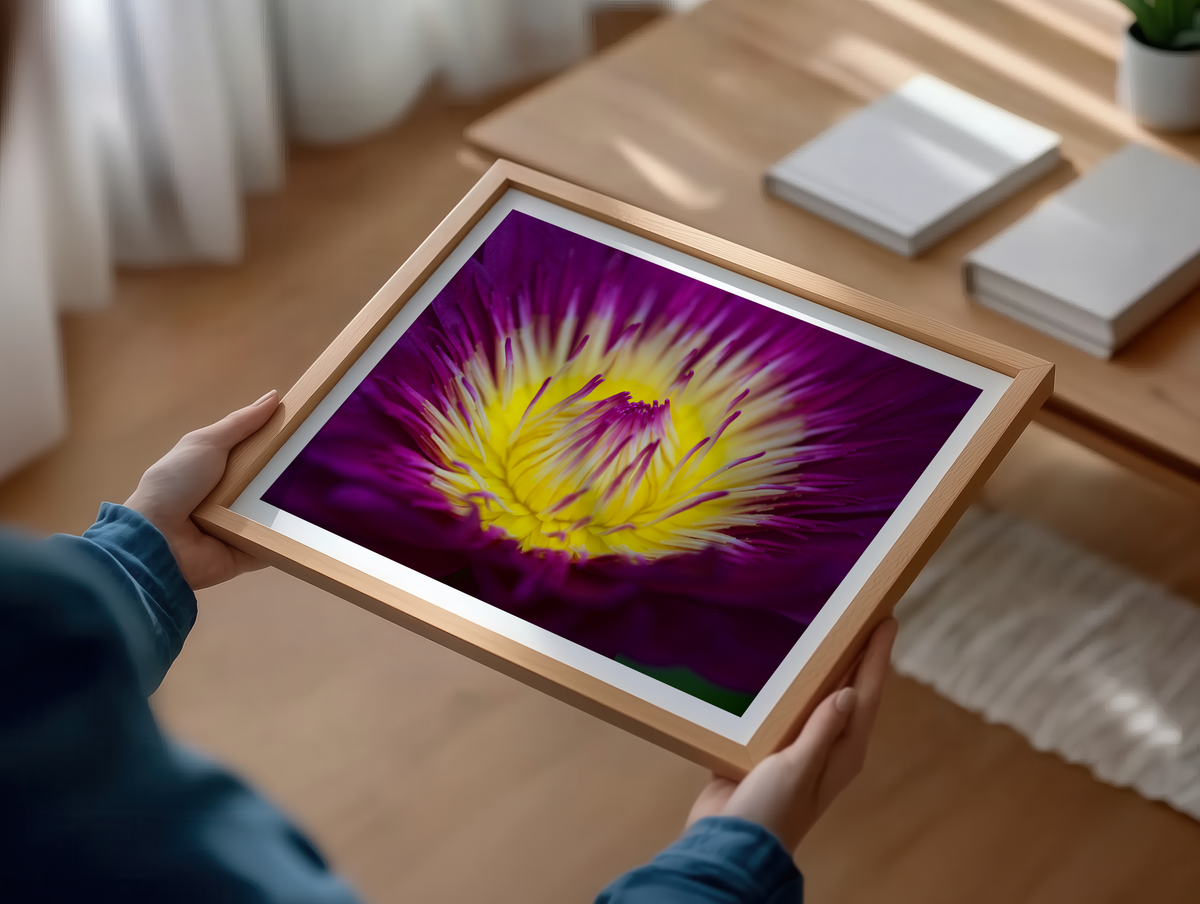 Waterlily